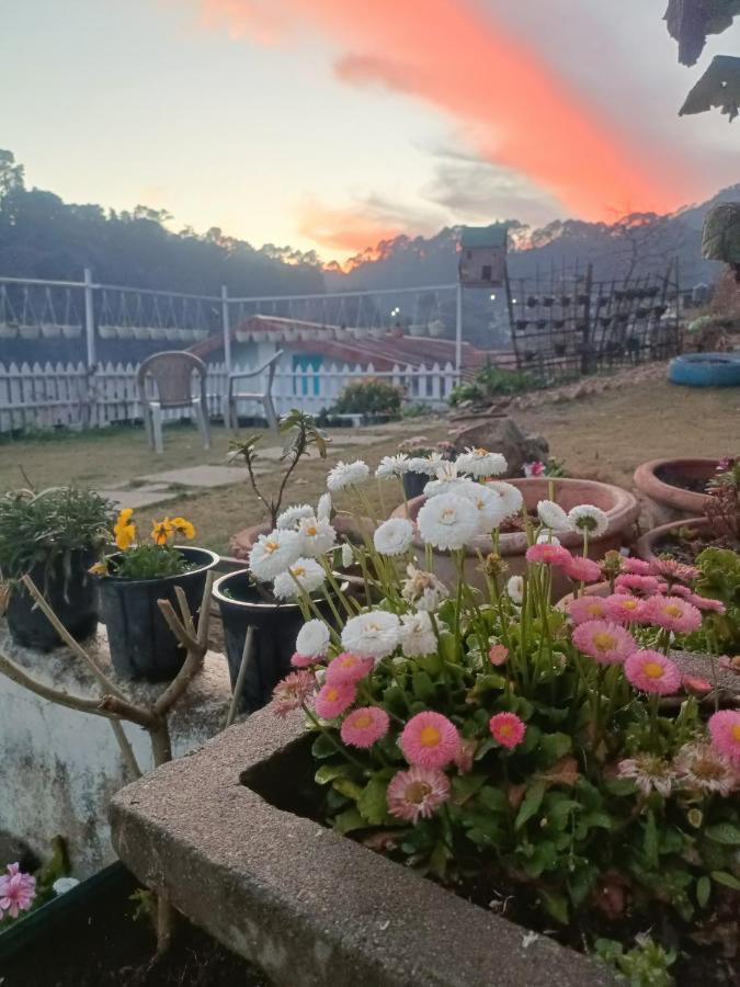 Mohraj Home Stay Bhowali Dış mekan fotoğraf