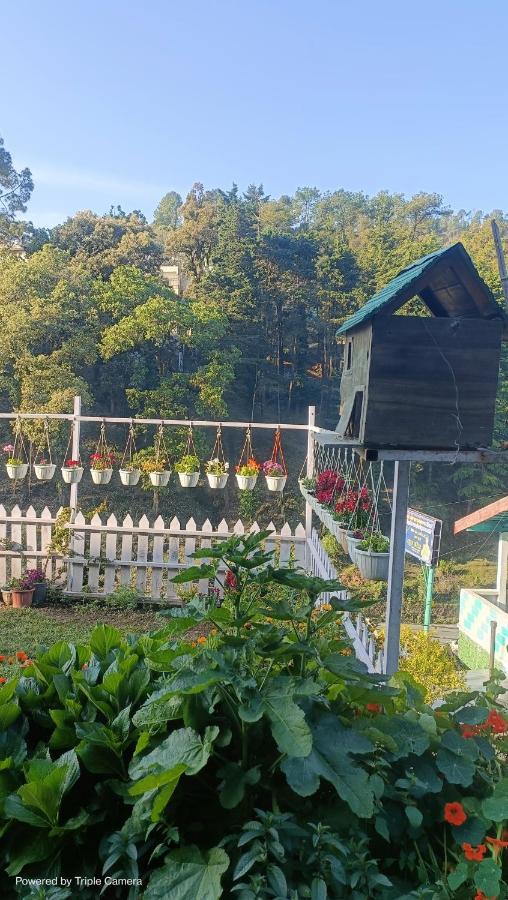 Mohraj Home Stay Bhowali Dış mekan fotoğraf