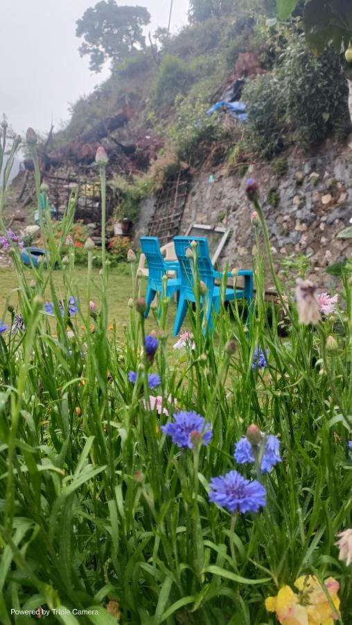 Mohraj Home Stay Bhowali Dış mekan fotoğraf