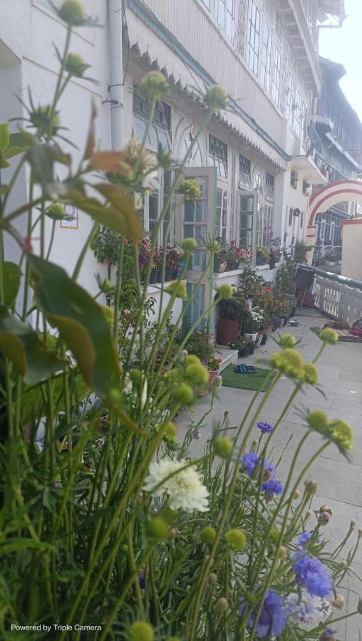 Mohraj Home Stay Bhowali Dış mekan fotoğraf